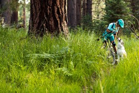 Moonlight Ridge  1929 By Big Bear Vacations