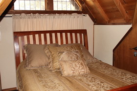 Viola Haven