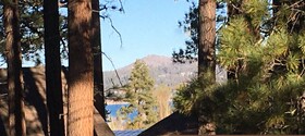 A Beary Happy Cabin