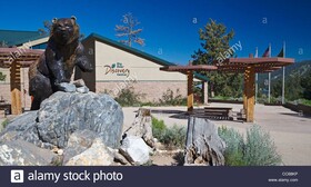Bear Creek Resort