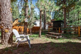 Bearfoot Cabin