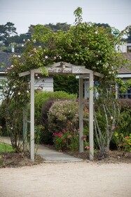 Carmel River Inn