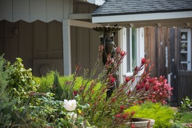 Carmel River Inn