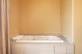 Holiday Inn Express Castro Valley - East Bay