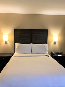 Holiday Inn Dublin-Pleasanton