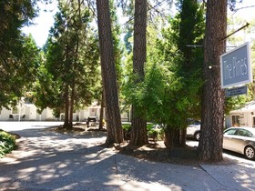 The Pines Motel and Cottages