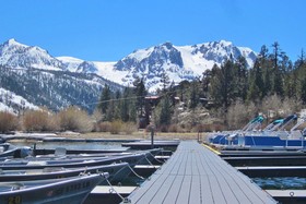 Lake Front Cabins