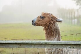 SCP Mendocino Inn and Farm