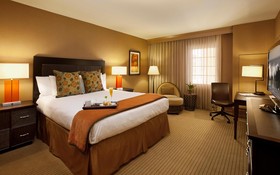 Jamaica Bay Inn Tapestry Collection by Hilton
