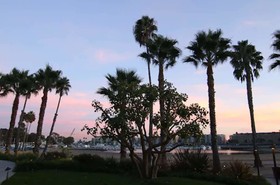 Jamaica Bay Inn Tapestry Collection by Hilton