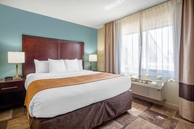 Comfort Inn & Suites Newark Fremont / Silicon Valley