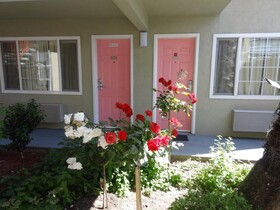 Flamingo Motel