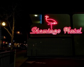 Flamingo Motel