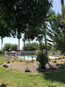 99 Palms Inn & Suites