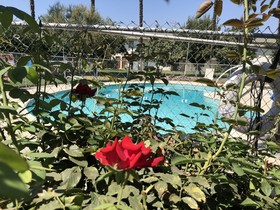 99 Palms Inn & Suites