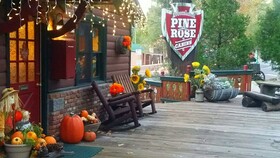 Arrowhead Pine Rose Cabins