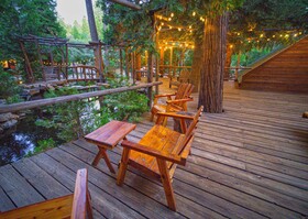 Arrowhead Pine Rose Cabins