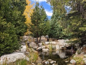 Arrowhead Pine Rose Cabins