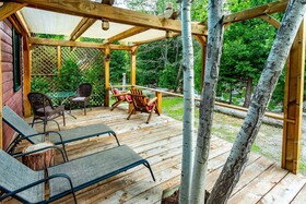 Arrowhead Pine Rose Cabins