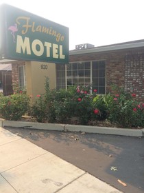 Flamingo Motel