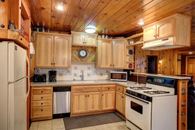 The Williams Cabin