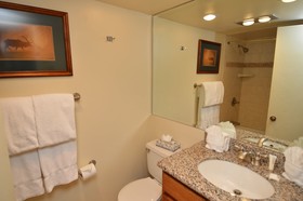 Chateau Roaring Fork