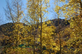 Frias Properties of Aspen