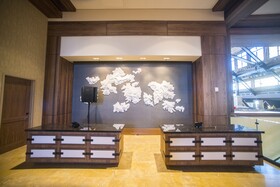 Gaylord Rockies Resort & Convention Center