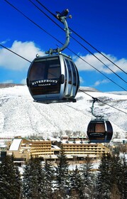 The Seasons at Avon