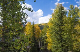 Highlands Lodge