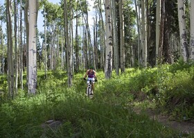 The Pines Lodge