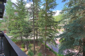 The Pines Lodge