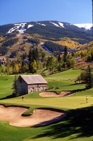 The Pines Lodge