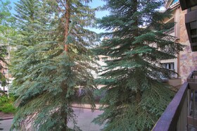 The Pines Lodge