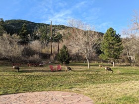 Foot Of The Mountain Motel