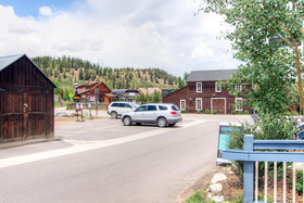 Bison Crossing