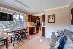 Park Meadows Lodge