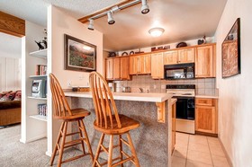 Motherlode Condominiums