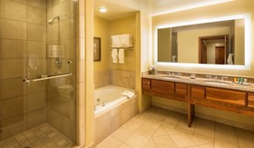 Valdoro Mountain Lodge by Hilton Grand Vacations Suites