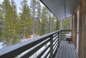 Ziggy Bear Lodge