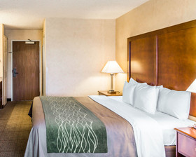 Quality Inn Brighton