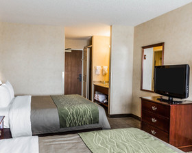 Quality Inn Brighton