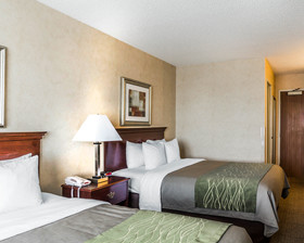 Quality Inn Brighton