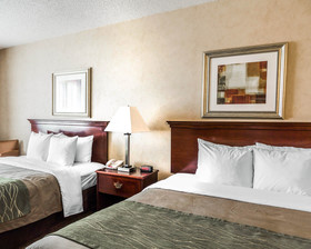 Quality Inn Brighton