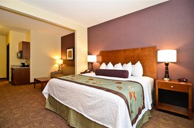 Best Western Plus Carousel Inn & Suites