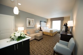 Holiday Inn Express & Suites Denver South Castle Rock