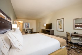 Holiday Inn Express & Suites Denver South Castle Rock