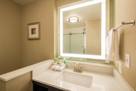 Holiday Inn Express & Suites Denver South Castle Rock