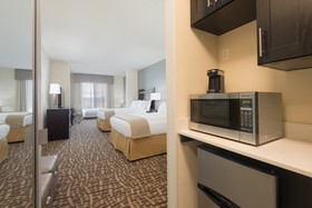 Holiday Inn Express & Suites Denver South Castle Rock