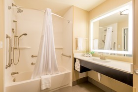 Holiday Inn Express & Suites Denver South Castle Rock